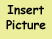 (insert image)